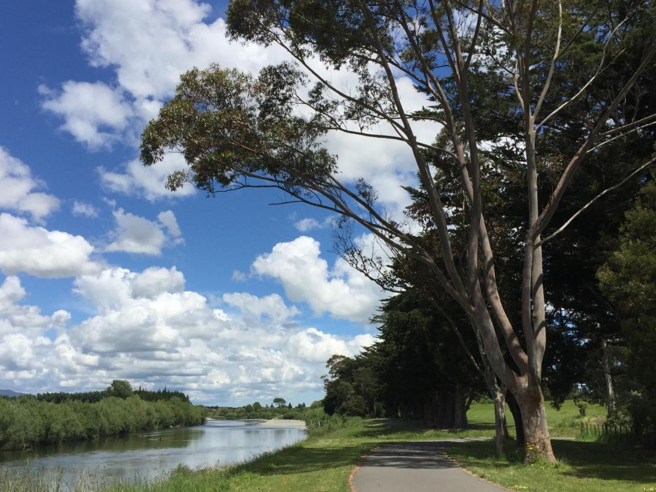 Refreshstay Palmerston North Exteriér fotografie